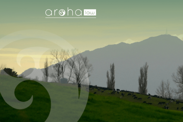 aa4801d95e819dc45f6a5bd95bf04cb9